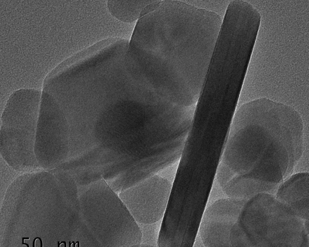 TEM-1