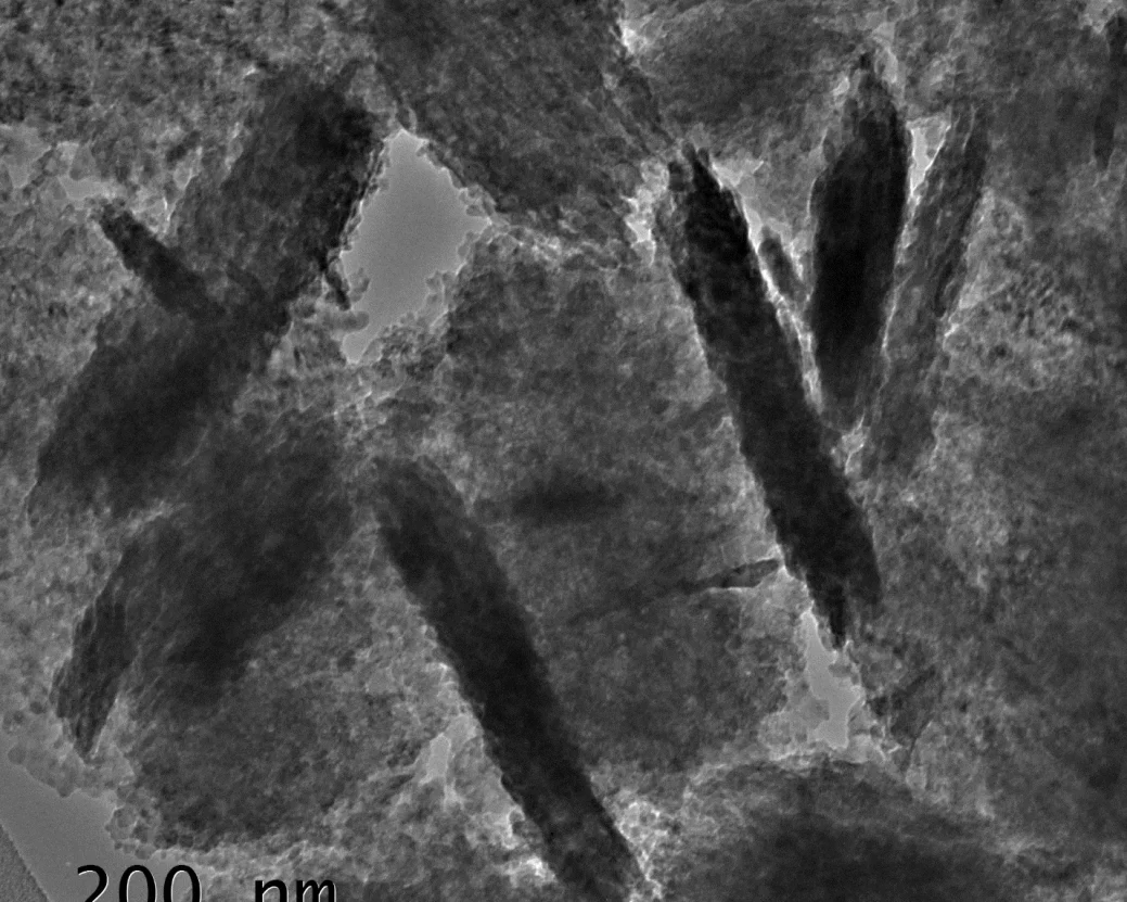 TEM_image001
